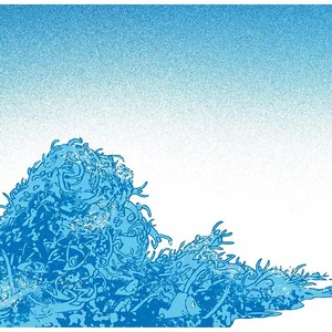 Serge Dehaes - C’est dans le journal - 